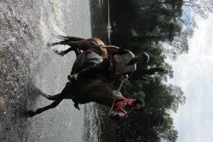 Druženje srediških in hrvaških konjenikov na Grabah 4